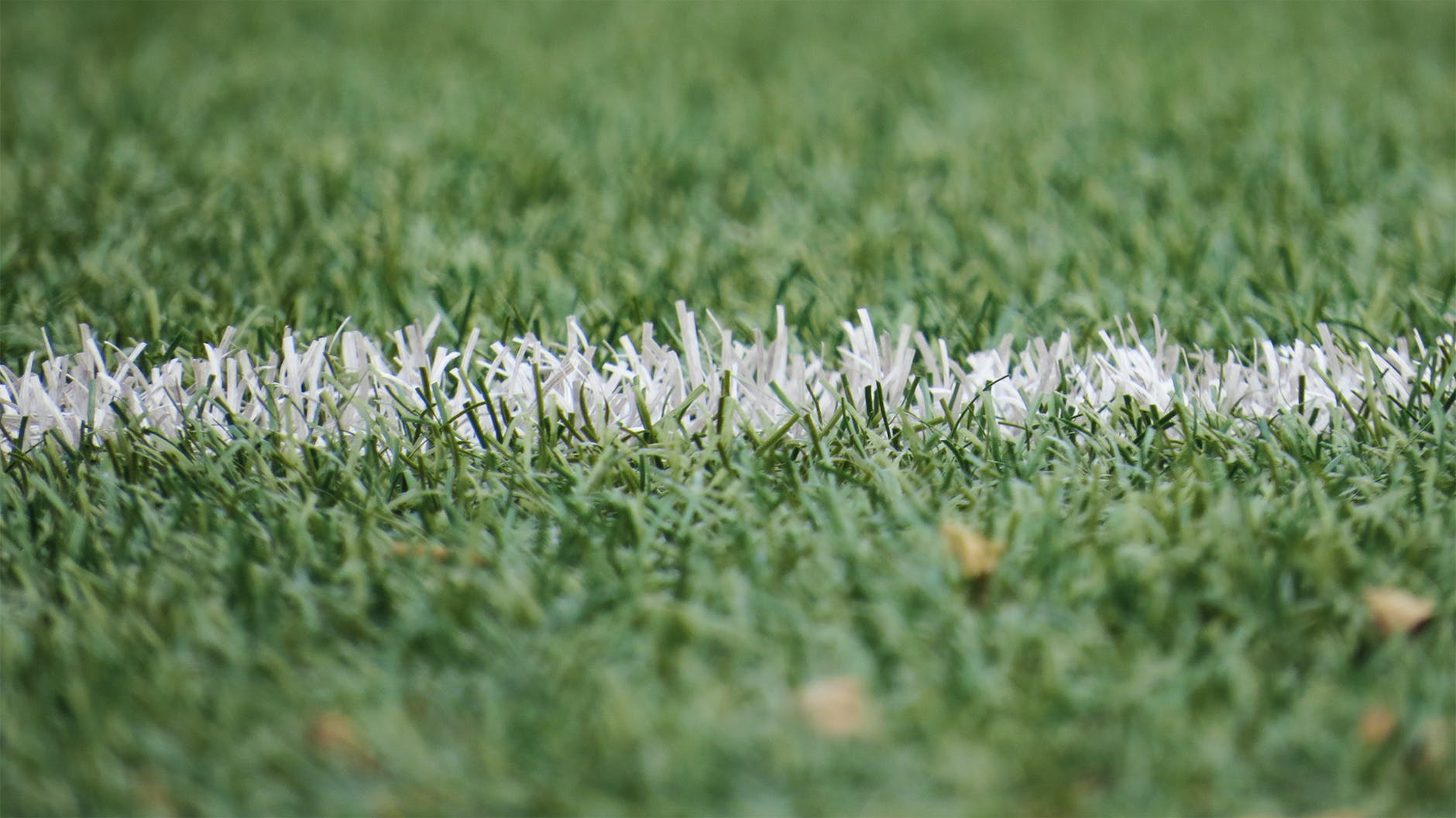A football resting on a grass pitch